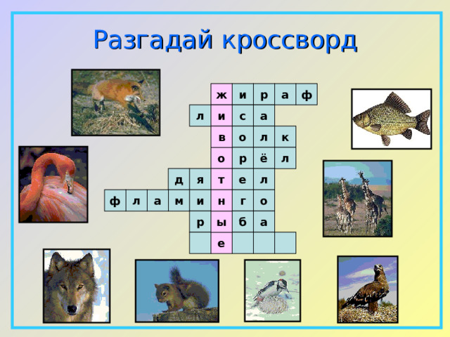 Разгадай  кроссворд ф ж и р а а с л и в о л к р ё л о л д я т е а ф г о м и л н ы р б а е  