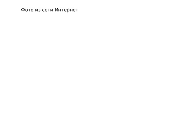 Фото из сети Интернет 
