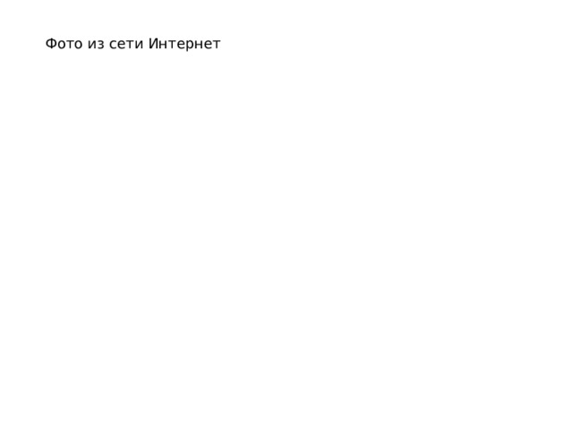 Фото из сети Интернет 