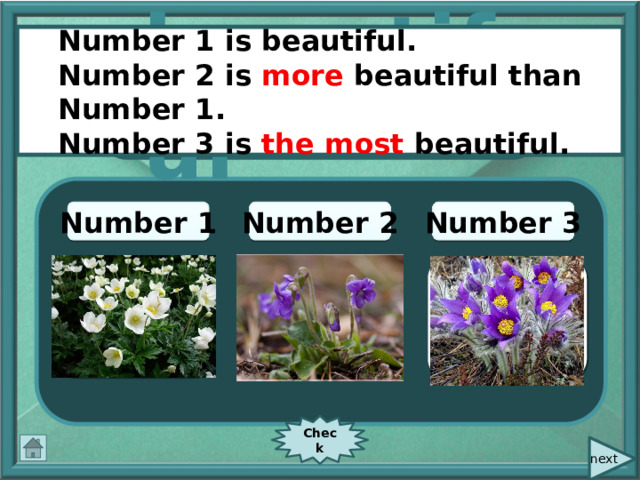 Number 1 is beautiful. Number 2 is more beautiful than Number 1. Number 3 is the most beautiful. beautiful Number 2 Number 3 Number 1 Check  next 