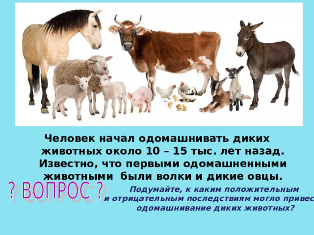 Человек начал одомашнивать диких животных около 10 – 15 тыс. лет назад. Известно, что первыми одомашненными животными были волки и дикие овцы. Подумайте, к каким положительным и отрицательным последствиям могло привести одомашнивание диких животных? 