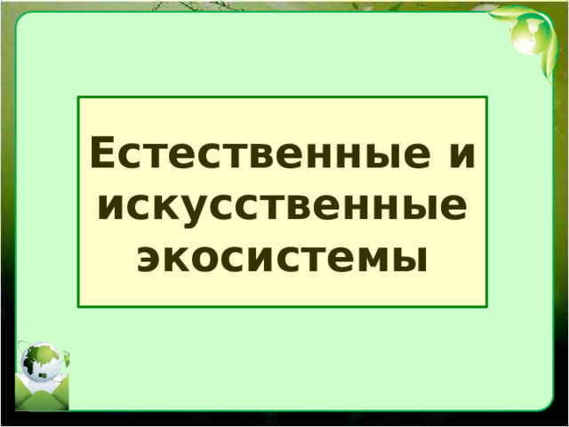 Естественные и искусственные экосистемы 