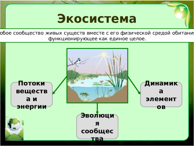 Экосистема Любое сообщество живых существ вместе с его физической средой обитания, функционирующее как единое целое. Потоки вещества и энергии Динамика элементов Эволюция сообщества 