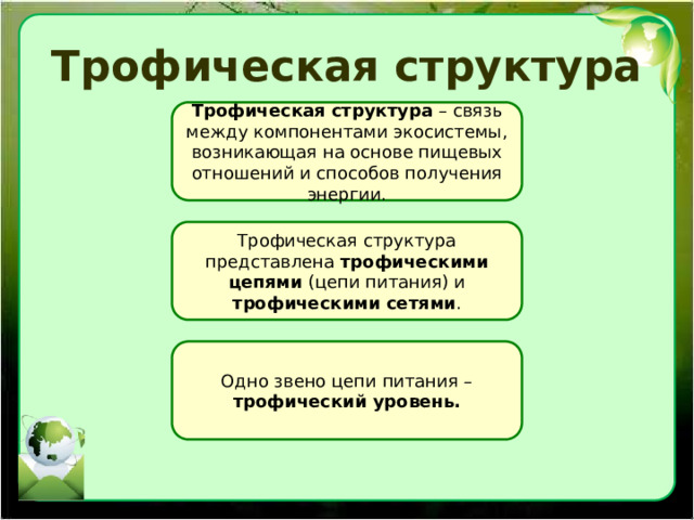Трофическая структура Трофическая структура – связь между компонентами экосистемы, возникающая на основе пищевых отношений и способов получения энергии. Трофическая структура представлена трофическими цепями (цепи питания) и трофическими сетями . Одно звено цепи питания – трофический уровень. 