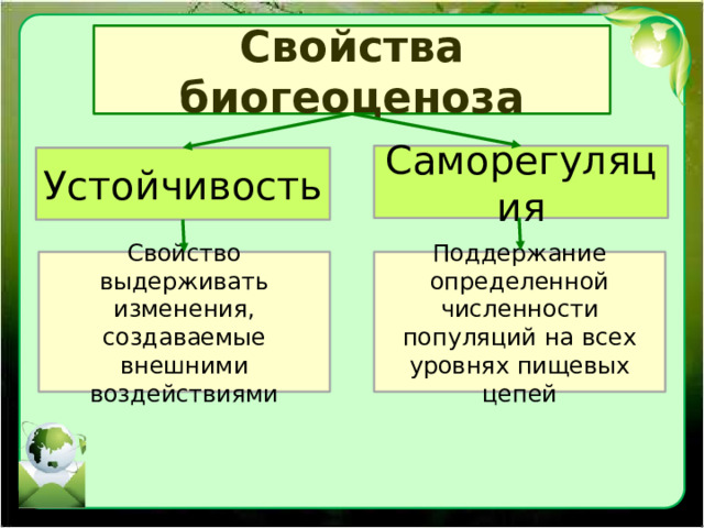 Свойства биогеоценоза Саморегуляция Устойчивость Свойство выдерживать изменения, создаваемые внешними воздействиями Поддержание определенной численности популяций на всех уровнях пищевых цепей 