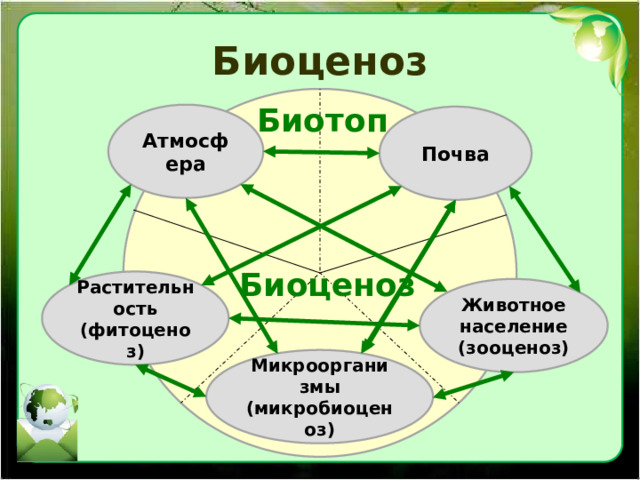 Биоценоз Биотоп Атмосфера Почва Биоценоз Растительность (фитоценоз) Животное население (зооценоз) Микроорганизмы (микробиоценоз) 
