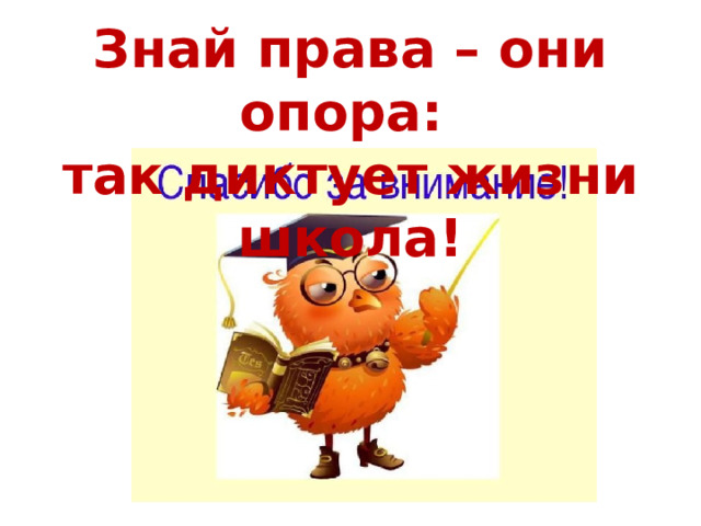 Знай права – они опора: так диктует жизни школа! 