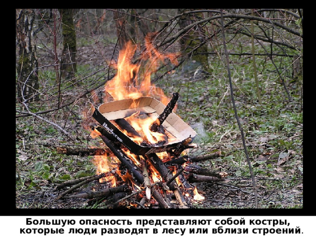 Большую опасность представляют собой костры, которые люди разводят в лесу или вблизи строений . 