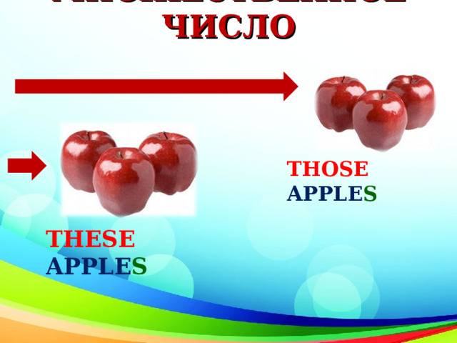 МНОЖЕСТВЕННОЕ ЧИСЛО THOSE  APPLE S  THESE  APPLE S 