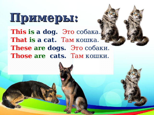 Примеры: This  is a dog. Это собака. That  is a cat. Там кошка. These  are dogs. Это собаки. Those  are cats. Там кошки. 