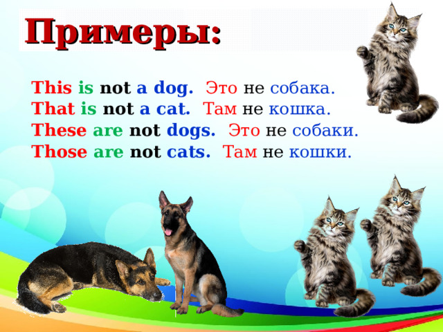 Примеры: This  is  not a dog. Это  не собака. That  is  not a cat. Там  не кошка. These  are  not dogs. Это  не собаки. Those  are  not cats. Там  не кошки. 