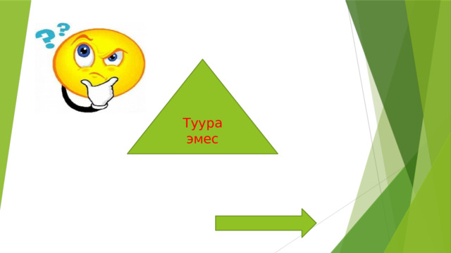 Туура эмес 