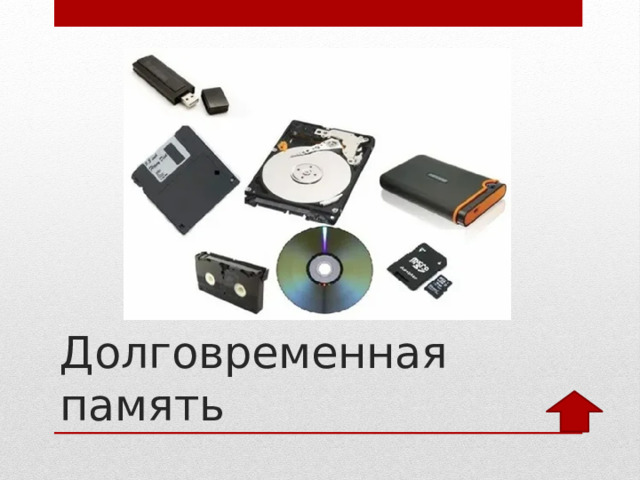 Долговременная память 