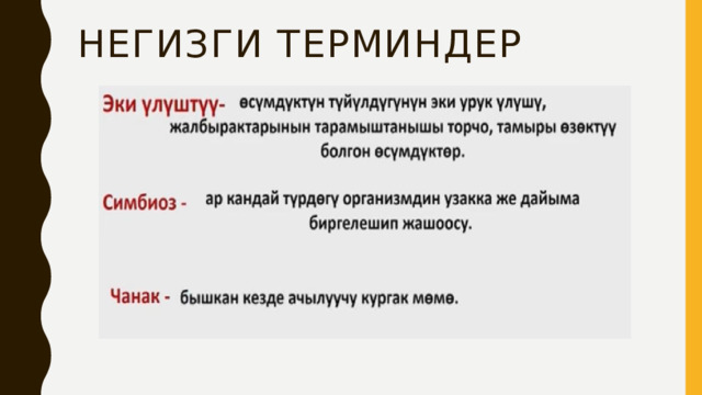 Негизги терминдер 