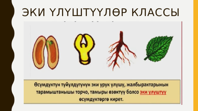 Эки Үлүштүүлөр классы   