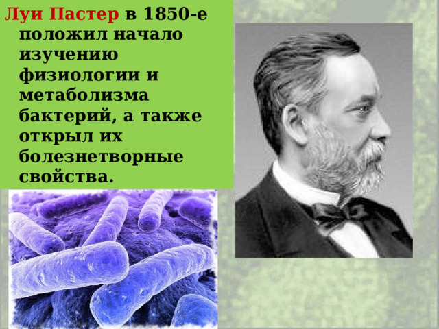 Луи Пастер в 1850-е положил начало изучению физиологии и метаболизма бактерий, а также открыл их болезнетворные свойства. 