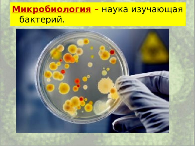 Микробиология – наука изучающая бактерий. 