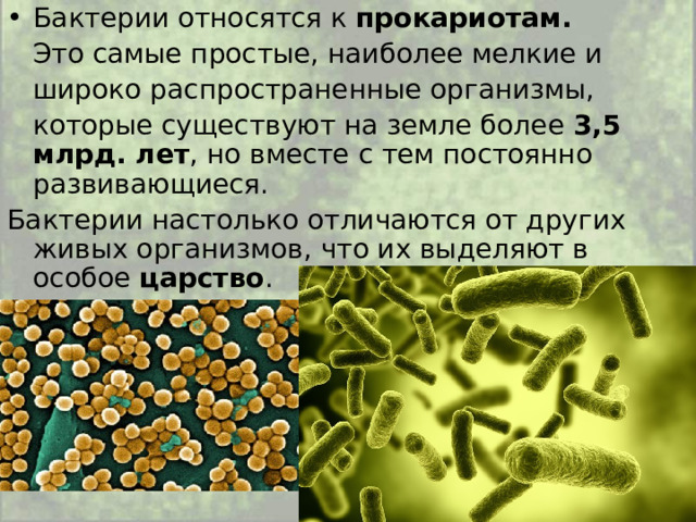 Бактерии относятся к прокариотам.  Это самые простые, наиболее мелкие и  широко распространенные организмы,  которые существуют на земле более 3,5 млрд. лет , но вместе с тем постоянно развивающиеся. Бактерии настолько отличаются от других живых организмов, что их выделяют в особое царство . 