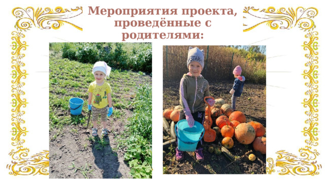 Мероприятия проекта, проведённые с родителями: 