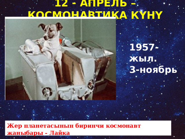 12 - АПРЕЛЬ –КОСМОНАВТИКА КҮНҮ 1957-жыл. 3-ноябрь Жер планетасынын биринчи космонавт жаныбары - Лайка     