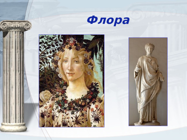 Флора 