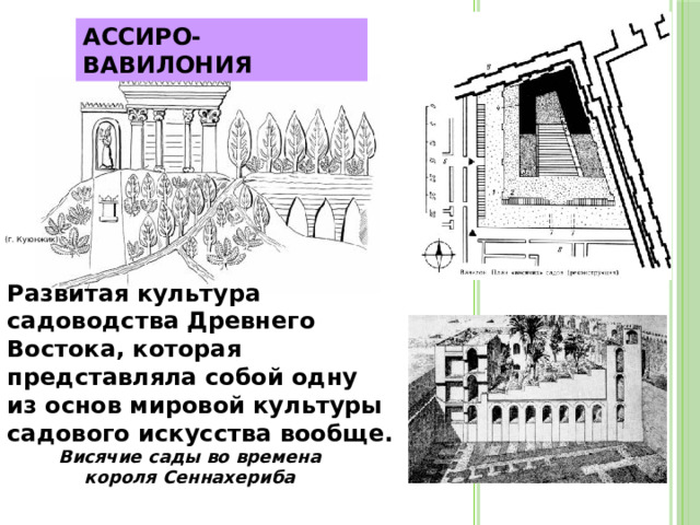 АССИРО-ВАВИЛОНИЯ  (г. Куюнжик) Развитая культура садоводства Древнего Востока, которая представляла собой одну из основ мировой культуры садового искусства вообще. Висячие сады во времена короля Сеннахериба 