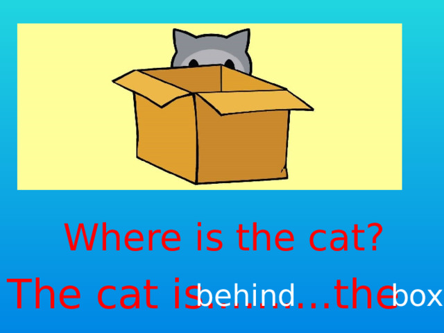 Where is the cat? The cat is..........the behind box 
