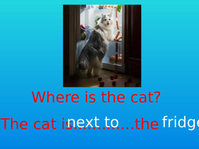 Where is the cat? next to fridge The cat is.............the 