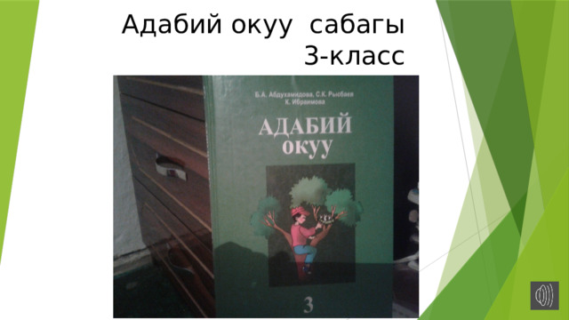 Адабий окуу сабагы  3-класс 