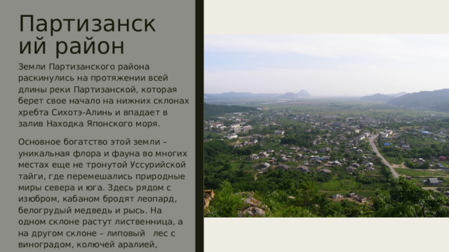 Партизанский район Земли Партизанского района раскинулись на протяжении всей длины реки Партизанской, которая берет свое начало на нижних склонах хребта Сихотэ-Алинь и впадает в залив Находка Японского моря. Основное богатство этой земли – уникальная флора и фауна во многих местах еще не тронутой Уссурийской тайги, где перемешались природные миры севера и юга. Здесь рядом с изюбром, кабаном бродят леопард, белогрудый медведь и рысь. На одном склоне растут лиственница, а на другом склоне – липовый  лес с виноградом, колючей аралией, пахучим жасмином, тамариском и другими растениями, напоминающих о тропиках. 