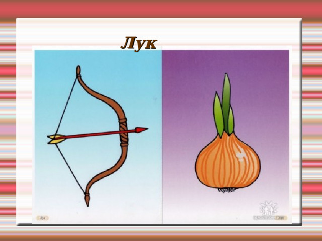 Лук 