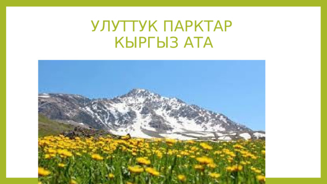  УЛУТТУК ПАРКТАР  КЫРГЫЗ АТА 