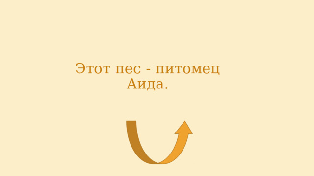 Этот пес - питомец Аида. 