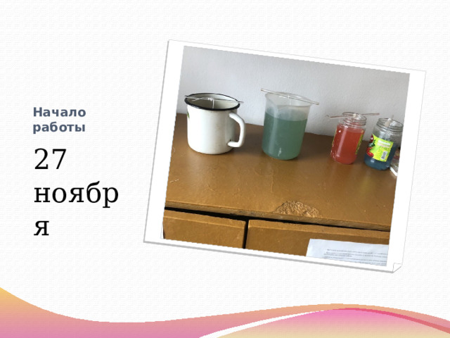 Начало работы 27 ноября 