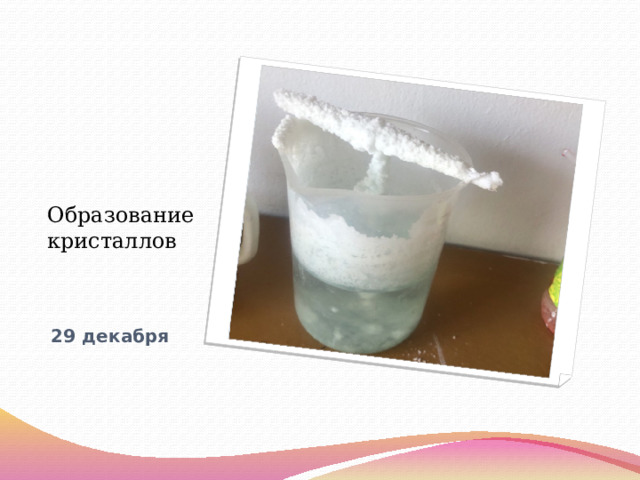 Образование кристаллов 29 декабря 