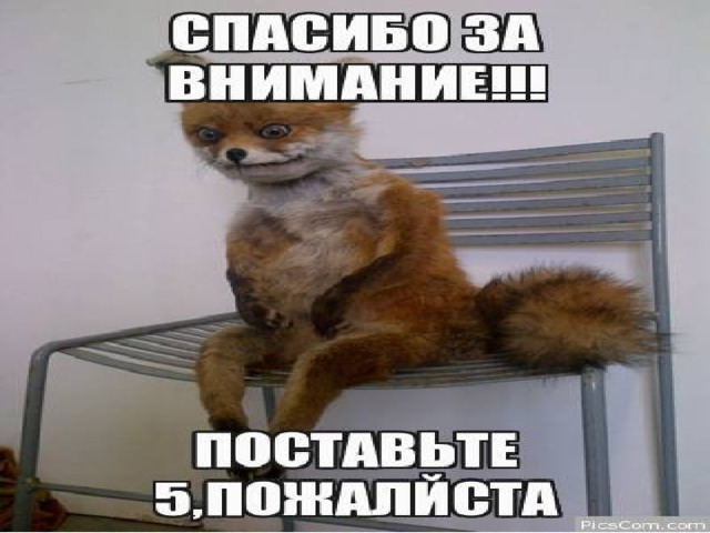 Чычсвавуцчячя   юююююююююююююююююююююююююююююююююююююююююююююююююююююююююююююююююююююююююююююмся 