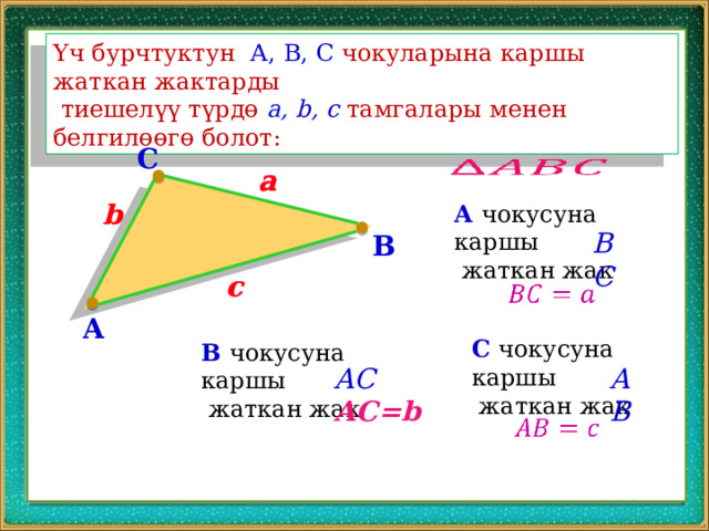 Үч бурчтуктун А, В, С чокуларына каршы жаткан жактарды  тиешелүү түрдө a, b, c тамгалары менен белгилөөгө болот: C   a a b b А чокусуна каршы  жаткан жак BC B c c   A C чокусуна каршы  жаткан жак B чокусуна каршы  жаткан жак AB AC АС=b   
