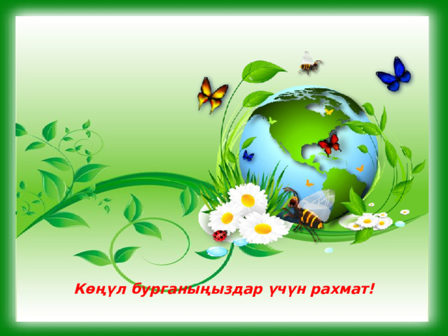 Көңүл бурганыңыздар үчүн рахмат! 