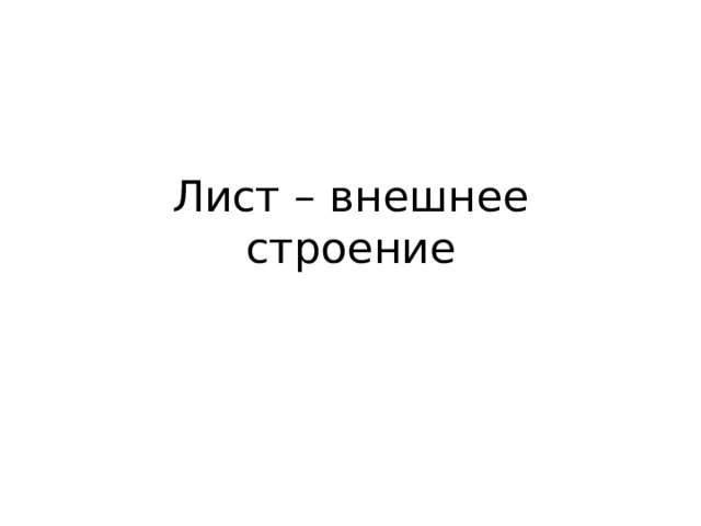 Лист – внешнее строение 