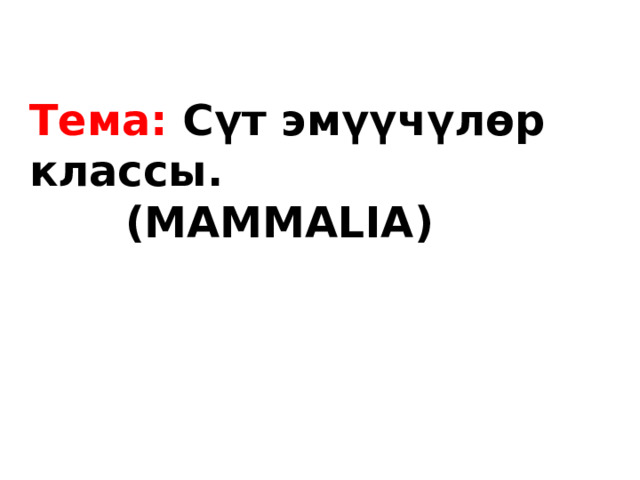 Тема: Сүт эмүүчүлөр классы.    (MAMMALIA) 