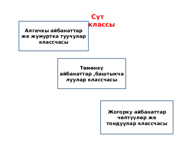  Сүт эмүүчүлөр классы Алгачкы айбанаттар же жумуртка туучулар классчасы Төмөнкү айбанаттар ,баштыкчалуулар классчасы Жогорку айбанаттар чөптүүлөр же тондуулар классчасы 