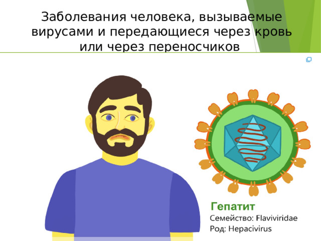 Заболевания человека, вызываемые вирусами и передающиеся через кровь или через переносчиков 