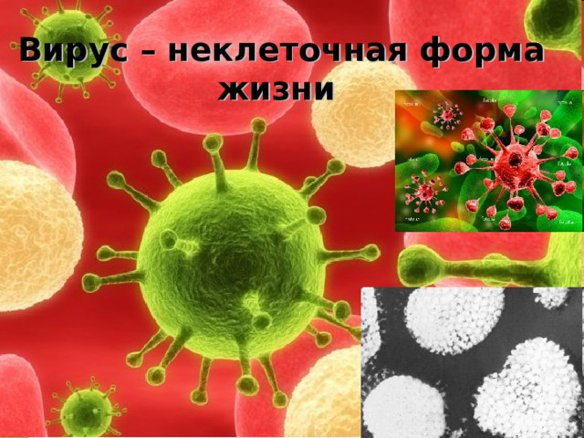 Вирус – неклеточная форма жизни  