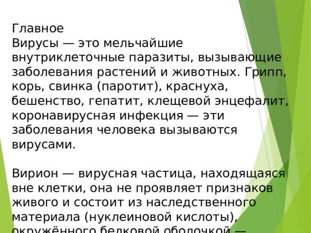 Главное Вирусы — это мельчайшие внутриклеточные паразиты, вызывающие заболевания растений и животных. Грипп, корь, свинка (паротит), краснуха, бешенство, гепатит, клещевой энцефалит, коронавирусная инфекция — эти заболевания человека вызываются вирусами. Вирион — вирусная частица, находящаяся вне клетки, она не проявляет признаков живого и состоит из наследственного материала (нуклеиновой кислоты), окружённого белковой оболочкой — капсидом . 