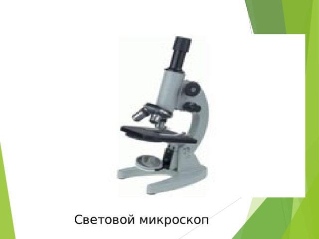 Световой микроскоп 