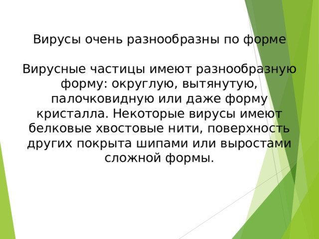Вирусы очень разнообразны по форме Вирусные частицы имеют разнообразную форму: округлую, вытянутую, палочковидную или даже форму кристалла. Некоторые вирусы имеют белковые хвостовые нити, поверхность других покрыта шипами или выростами сложной формы. 