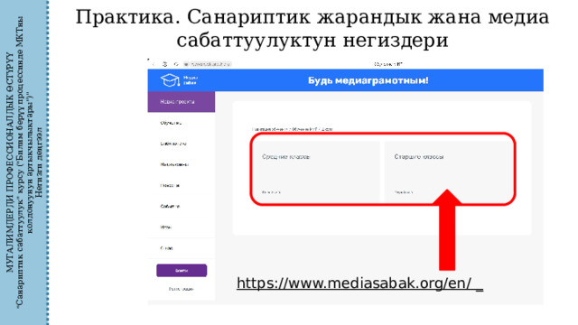 МУГАЛИМДЕРДИ ПРОФЕССИОНАЛДЫК ӨСТҮРҮҮ 