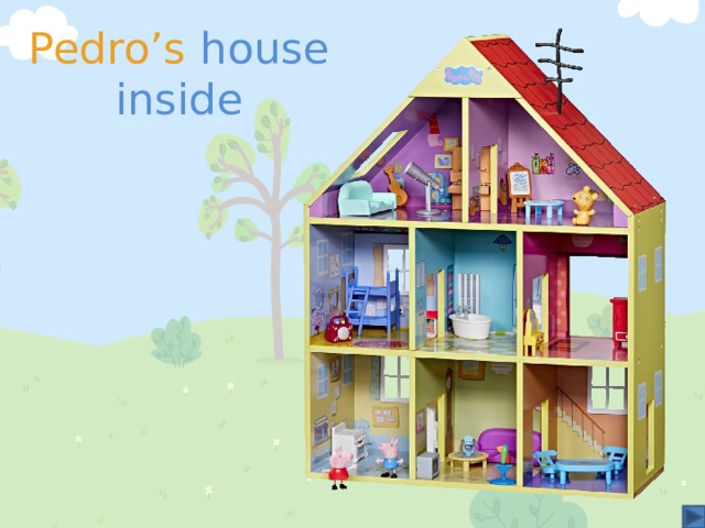 Pedro’s house inside 