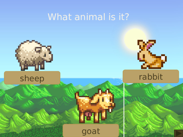 What animal is it? rabbit sheep goat 