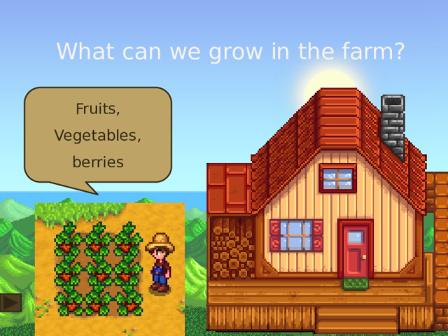 What can we grow in the farm? Fruits, Vegetables, berries 
